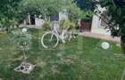 Casă individuală cu 4 camere cu Teren 469 Mp în Malu Mare - 5