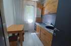 Apartament cu 2 camere nedecomandat în Podu Roș - 6