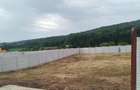 Se vinde teren in Almasul Sec - 6