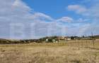 Teren intravilan, 800 mp, Simnicul de Sus - 1