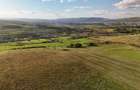 Teren agricol intravilan de 11510 mp, în Sopor - 10