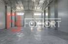 Spațiu industrial, de 502 mp, în Șagului - 2
