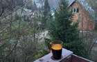 Vând casă de vacanță la munte – 55.000 EUR | Valea Cheii, Podu Dâmboviței, Argeș - 3