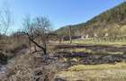 Teren intravilan Buciumi, 500e ar fix. - 2
