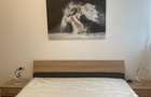 Apartament cu 2 camere semidecomandat în Take Ionescu - 3