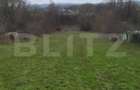 Teren intravilan 3000mp ,sat Plopu, Prahova - 4