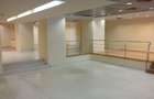 Spatiu comercial - Carol 445mp parter ideal banca sau clinica - 2
