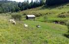 Proprietar, vand teren ?i gospodarie in comuna Arie?eni - 7,5euro/mp - 2