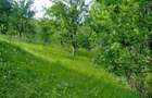 Teren intravilan de 1357 mp, în Tălii - 7