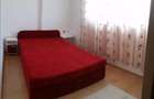 Apartament cu doua camere de inchiriat in zona Crangasi - 7