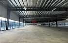 Depozit/hala/spatiu industrial/showroom Afumati - DN2 - Dor - 1