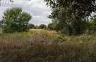 Teren în Gai - 6