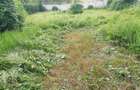 Casă cu 5 camere cu Canalizare în Precista - 1 Casă cu 5 camere cu Canalizare în Precista - 1