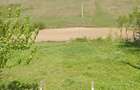Teren 3500m2 intravilan in Baiceni - 2