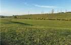 Teren Construcții intravilan de 2000 mp, în Cihei - 1