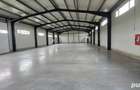 Hala industriala de inchiriat - Zona Aurel Vlaicu - 6