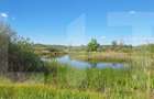 Teren de vanzare 1.600 mp cu deschidere la lac zona Lacul Surduc - 16