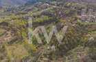 Teren Construcții intravilan de 9102 mp, în Drumul Poienii - 9