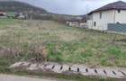 Teren Intravilan Aghiresu Fabrici - 4