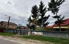 Teren intravilan 2800 mp de vanzare Prajesti (Traian) - B... - 1