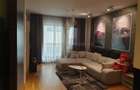 Apartament cu 2 camere decomandat în Herăstrău - 8