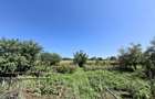 Casă individuală cu 5 camere cu Teren 5000 Mp în Păstrăveni - 11