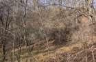 Teren intravilan Breaza 4,000mp cu utilitati. Panorama. Intimitate. - 4