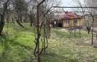 Vand casa noua sat greci - 1
