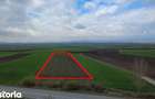 Teren intravilan de vanzare in Bicfalau! - 1