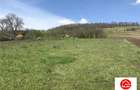 Teren de 6500 mp, în Remetea - 5