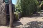 Inchiriez ap la casa pt 1 pers cu 1 catel sau o pisica - 5