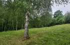 Terem de vanzare Setea Potoc 13.000 m2 - 7
