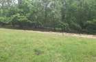 Terem de vanzare Setea Potoc 13.000 m2 - 13
