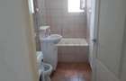 Apartament 1 camera-Mobilat-Utilat-Buziasului - 4