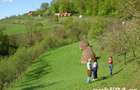 Teren in Moneasa, cu peisaj superb , pe deal in sat - 3