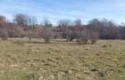 Teren extravilan FANEATA 4100 mp ideal cabana Valea Popilnica sat Vladeni com Dumbravita - 3