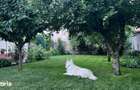 Vila 2017, 3 dormitoare cu baie proprie, gradina 500 mp - proprietar - 1