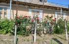 Casă cu 6 camere cu Teren 1094 Mp în Huși - 3