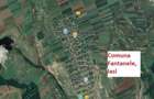 Teren extravilan 1ha arabil Jud Iasi Comuna Fantanale - 1
