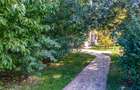 Casă individuală cu 6 camere cu Canalizare în Central - 27