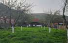Vand casa + 1 ha teren arabil - 8