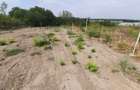 Teren pentru casa cu vedere la padure - 5