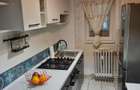 Ap 2 camere SD Mircea, parter inalt cu gradina - 1