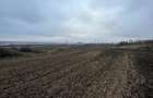 Teren Dorohoi - 23000 mp - Sau - Parcele 1000mp, 900mp, 1500mp, etc. - 4