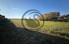Teren intravilan de vanzare | 12.650 mp | Ghirdoveni, | C... - 1