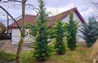 Casă de vânzare în centrul Sibiului – 3 camere și curte privată - 3