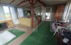 Casa cu 450 mp teren, de weekend sau rezidential, Dobolii De - 2