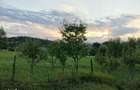 Vand teren intravilan 7410 mp in Sasca Mare, Suceava - 13