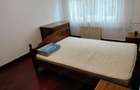 de inchiriat apartament 2 camere decomandat, zona Bisrica Noua-Independentei - 2