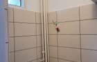 Garsonieră semidecomandată în Brâncoveanu - 10